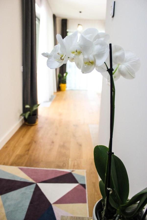 Apartamento 8Ight Braşov Exterior foto